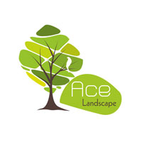 Ace Landscape